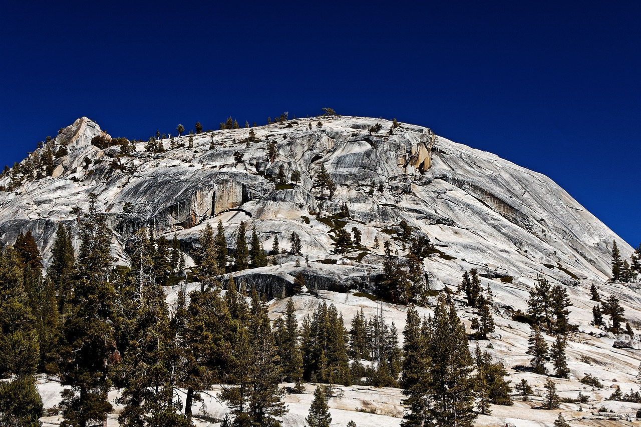 Exploring the Stunning Landscapes of Yosemite National Park